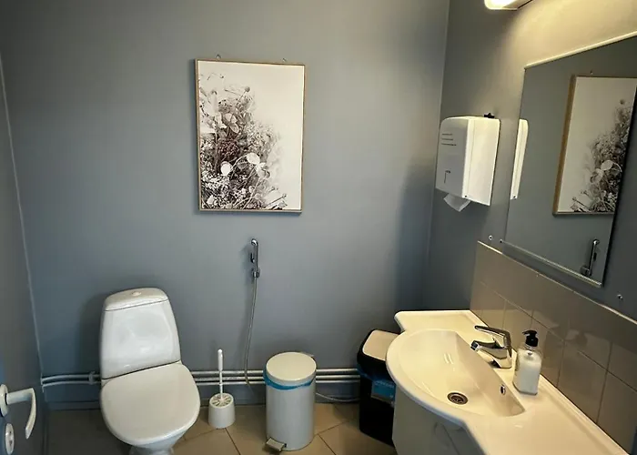 Jaeaeskaen Loma Antin Tupa, Tetrisnurkka אכסניה Alahaermae